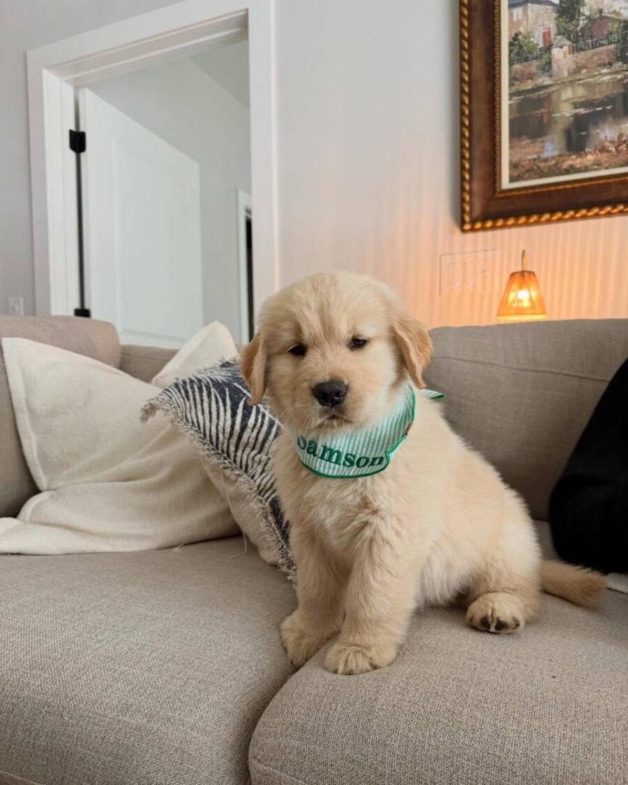 Benny