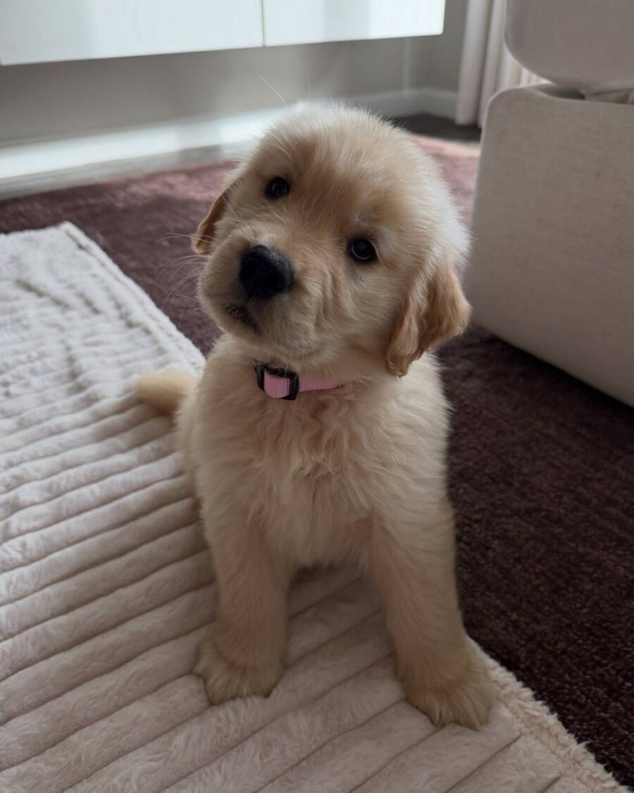 Sally