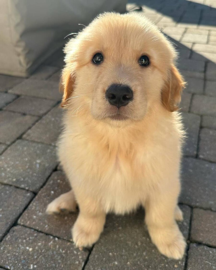 Rory