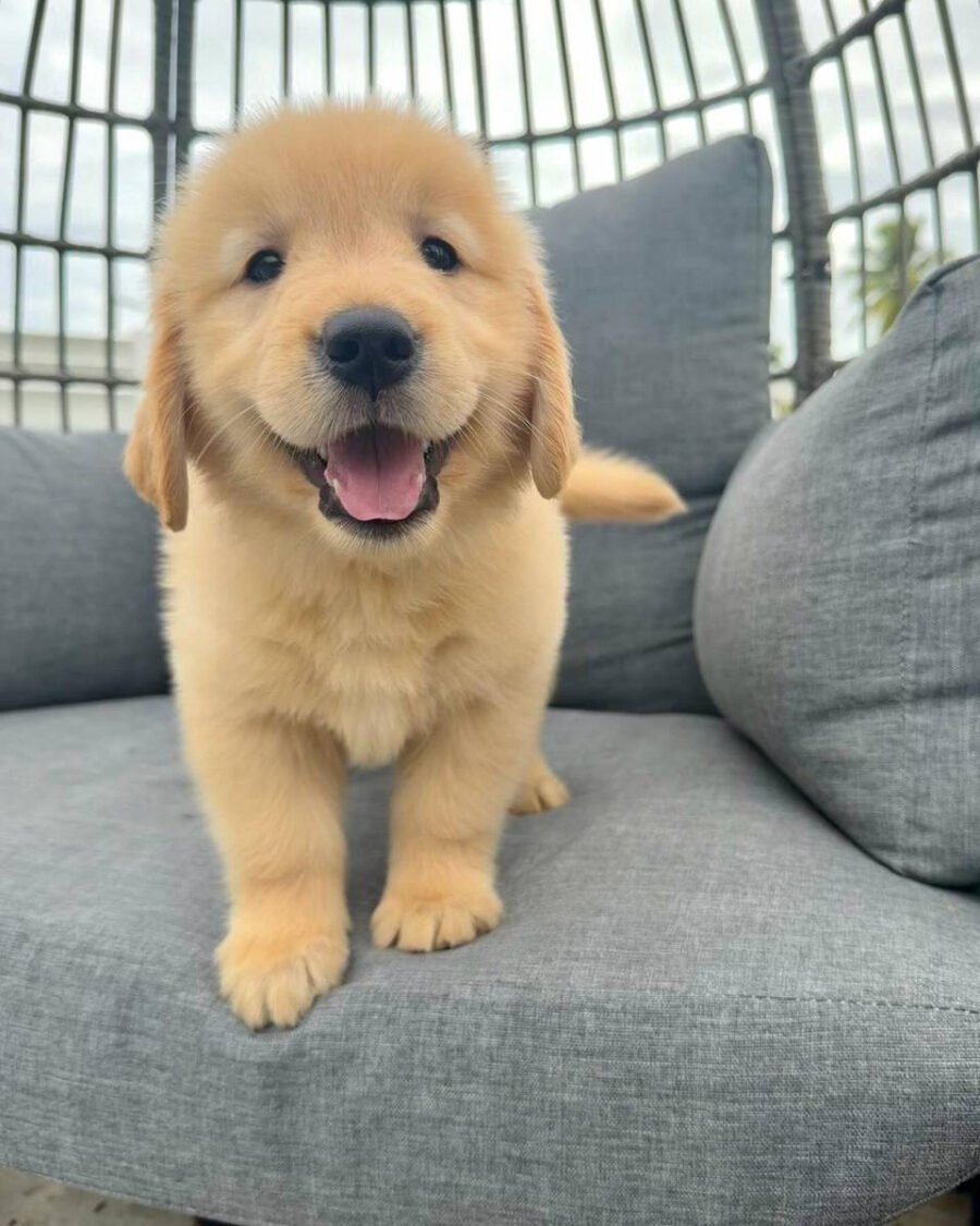 Bella